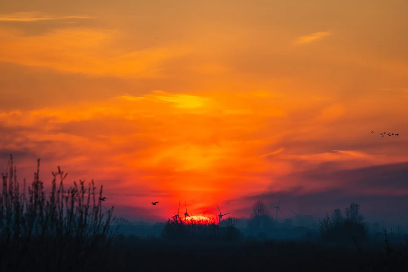 Sonnenaufgang in den Hauener Pütten im Landschaftsschutzgebiet Krummhörn